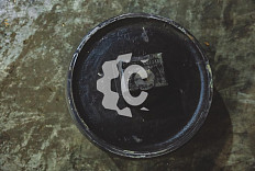 Колесо направляющее СК-6284053 HSTF