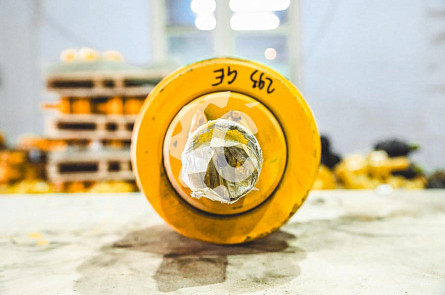 50-21-416СП - Каток поддерживающий СК-0000293 GE