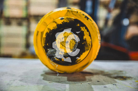 Каток поддерживающий СК-6284512 GE