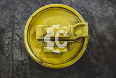 Колесо направляющее СК-0002342 STF