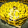 Цепь гусеничная 37L (жидкая смазка, полузвено) СК-0002348 STF