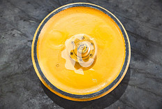 Колесо направляющее (без боковых направляющих) СК-6305447 STF