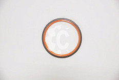 Сальник СК-0000089 GE