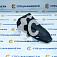 Скальная коронка (КОВАНАЯ) СК-0032008 BP