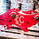 Быстросъемное соединение Q.90 СК-0036499 OEM