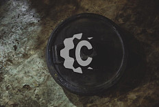 Колесо направляющее СК-6316494 HSTF