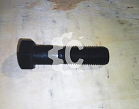 Болт СК-6143336 VESCOVINI