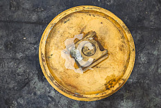 Колесо направляющее СК-0001901 QHD