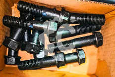 Болт СК-6258879 QHD