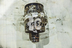 Каток поддерживающий СК-35475 CBT