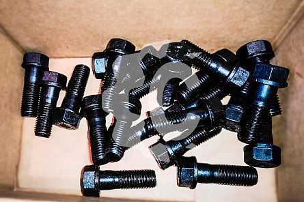 Болт СК-6318466 QHD