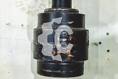 Каток поддерживающий (вал 51мм) СК-35545 CH