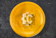 Колесо направляющее СК-28033 FJLZKM